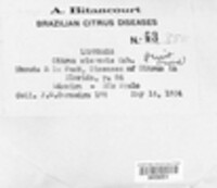 Image Associated With the Occurence